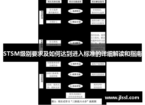 STSM级别要求及如何达到进入标准的详细解读和指南